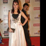 Celebs at 18th Annual Colors Screen Awards